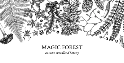 Vector border with ferns, mushrooms, fall leaves and autumn plant sketches. Vintage botanical design template in engraved style. Hand drawn autumn forest background for print. Natural banner